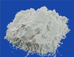 Yeast Protein