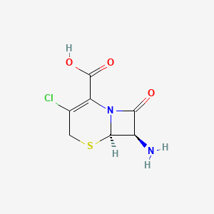 Structural formula for 7-ACCA